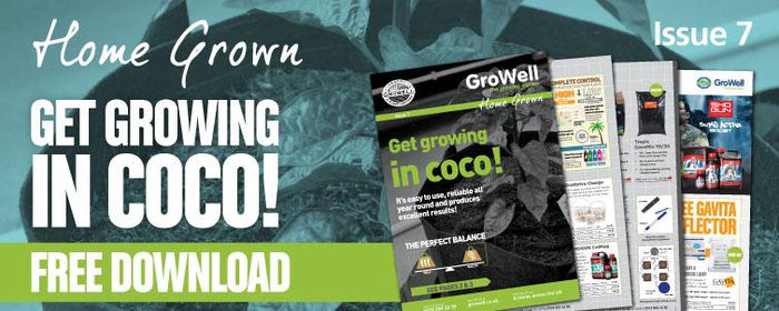 Get Growing in Coco! [Issue 7]