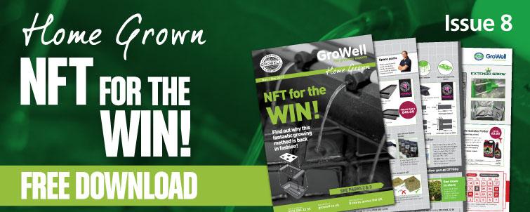 NFT for the WIN! [Issue 8]