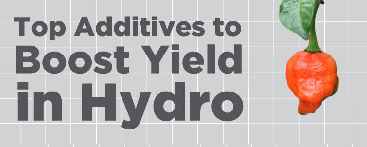 Top Additives to Boost Yield in Hydro!