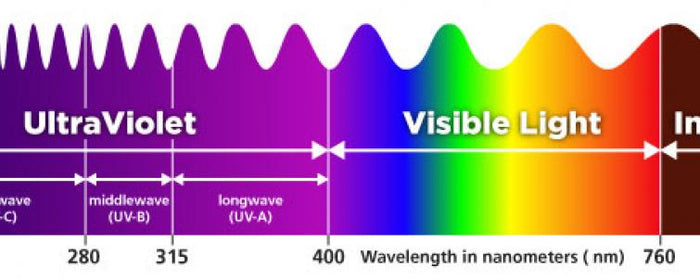 Amplify Taste, Aroma & Health with UV-A & UV-B