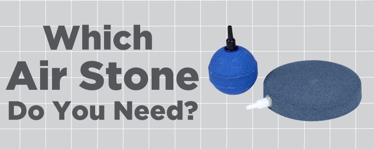 Which Air Stone do You Need?
