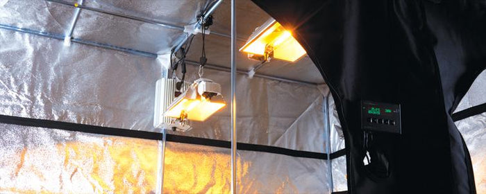 Which Indoor Grow Tent Do You Need?