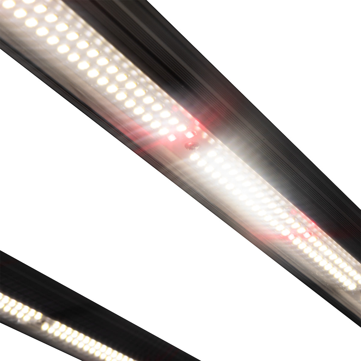 Omega Black 720W Plus LED Grow Light | GroWell