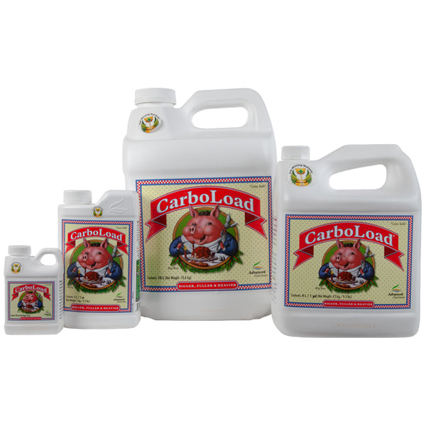その他 Carboload CarboLoadGroupImage_grande.jpg