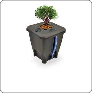 Hydroponic Growing Systems