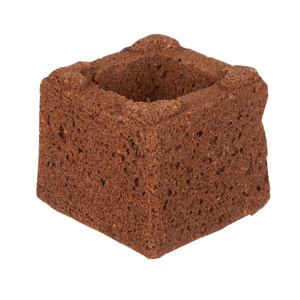 Eazy Plug Organic Propagation Cubes