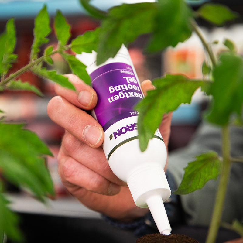 Plagron Next Gen Rooting Hormone GroWell