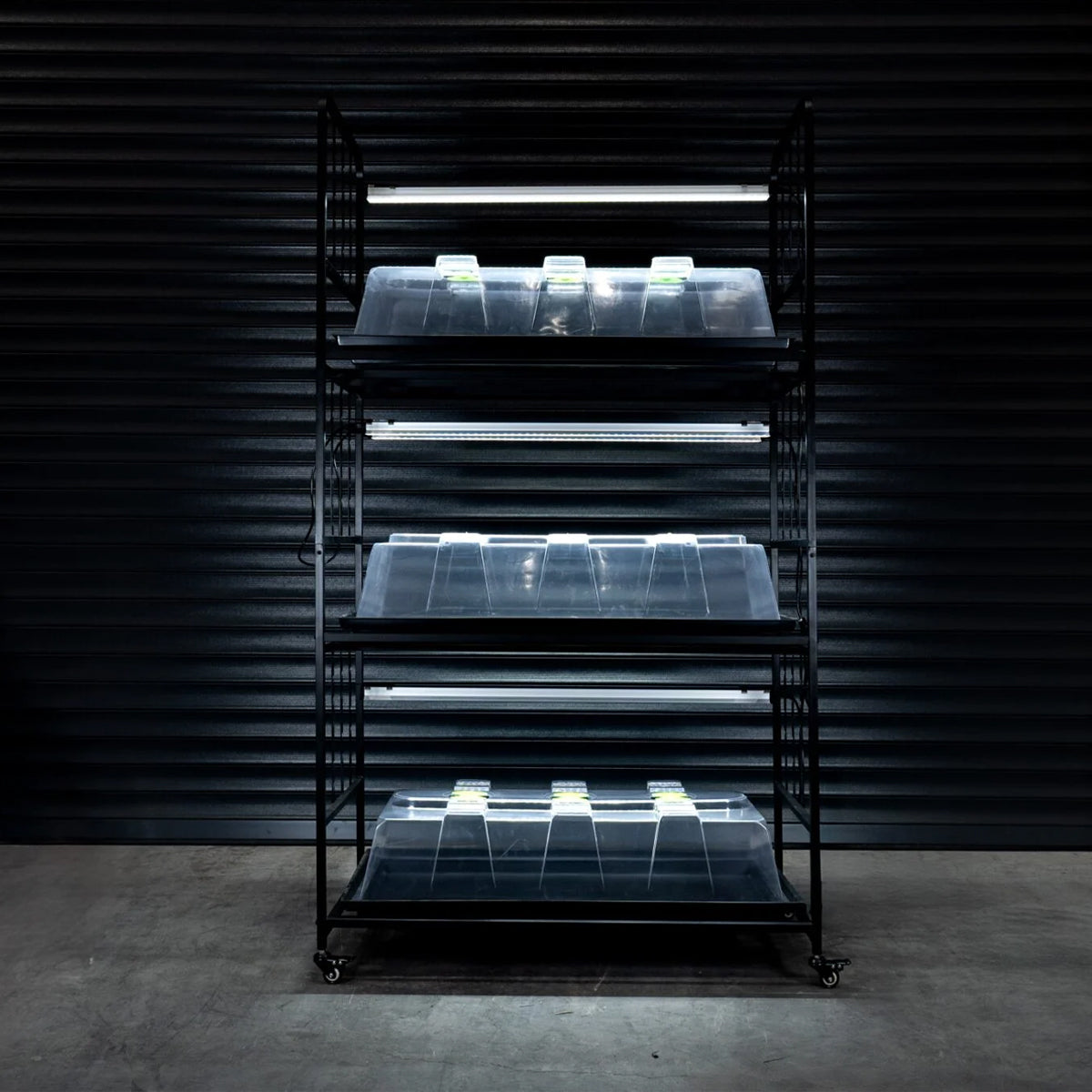 X-Stream Propagation Racking