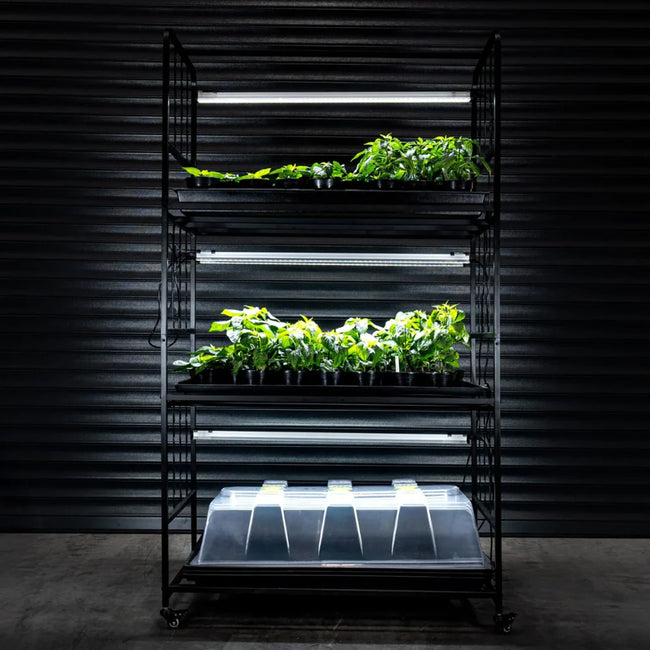 Stream Innovations Racking X-Stream Propagation Racking