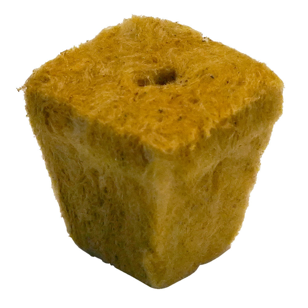 How to use Rockwool Cubes for Growing, Seed Starting, and Cutting