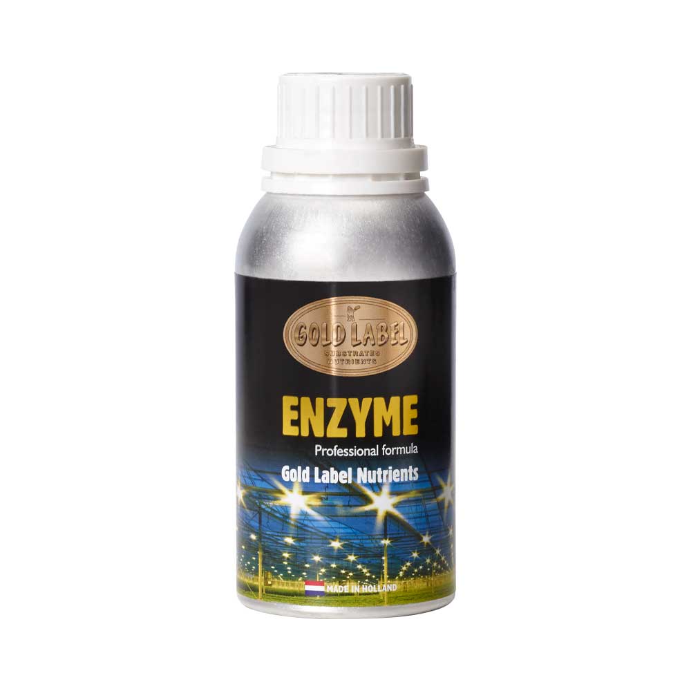 Gold Label Enzyme