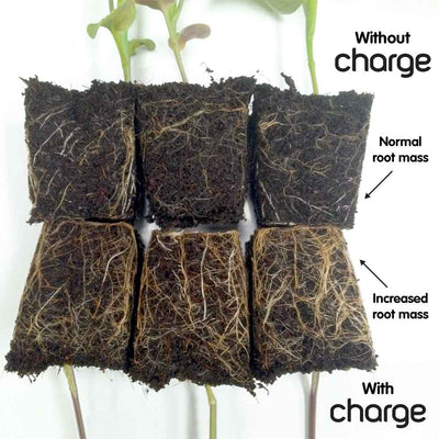 Ecothrive Charge With and Without