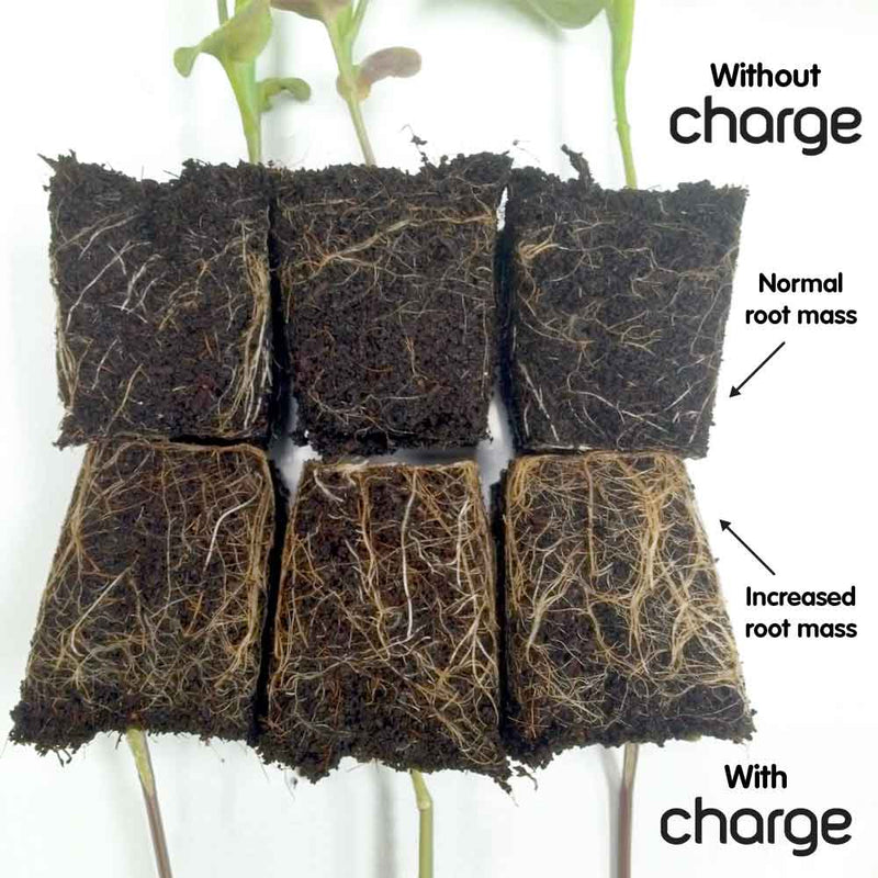 Ecothrive Charge With and Without
