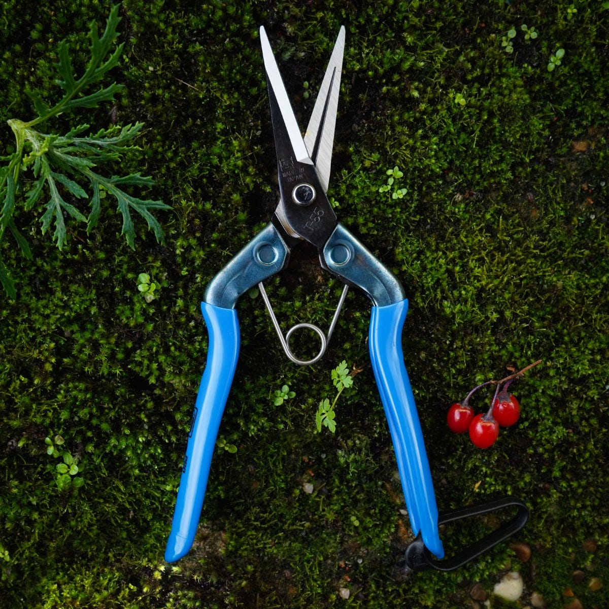 Chikamasa T-552 Trimming Scissors | GroWell