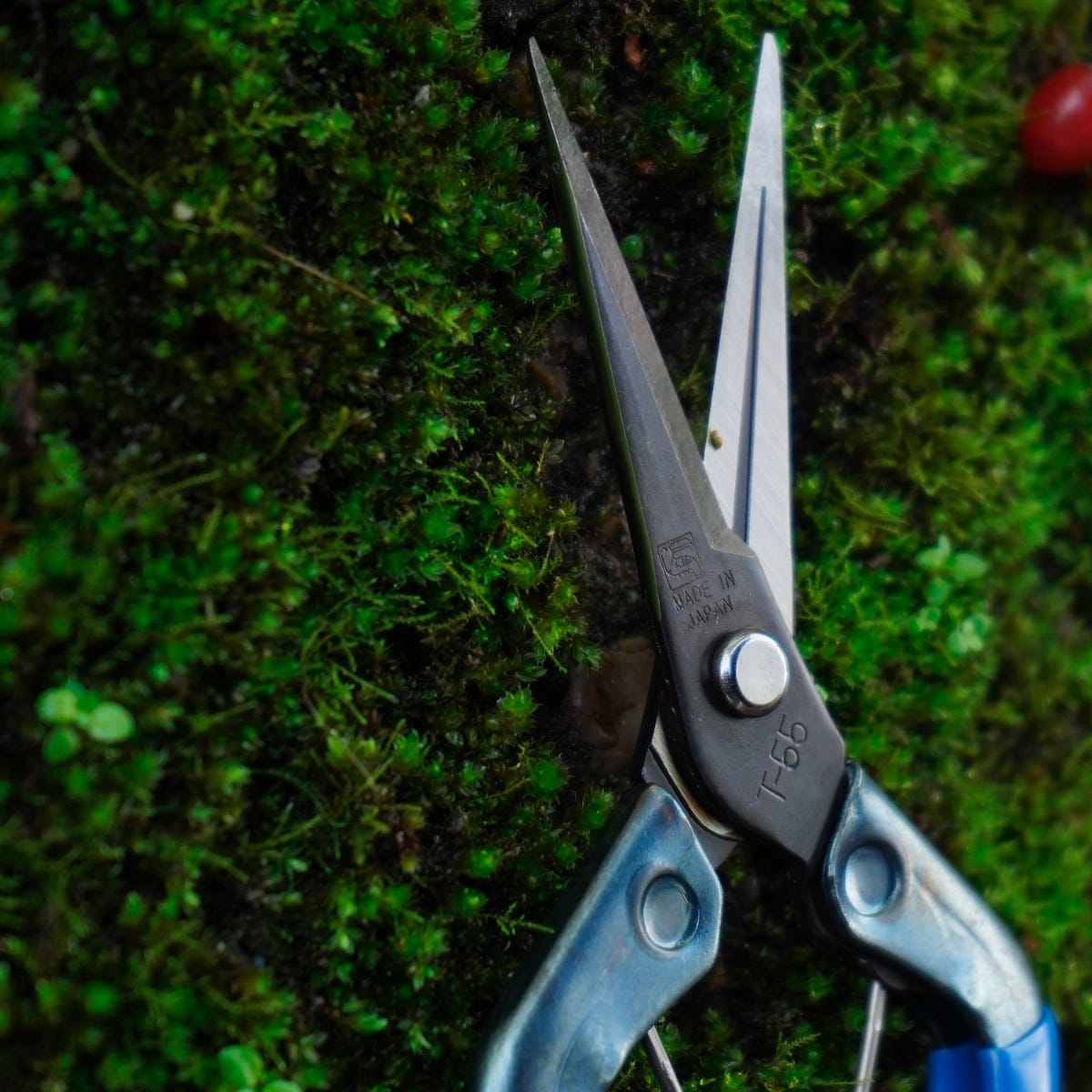Chikamasa T-552 Trimming Scissors | GroWell