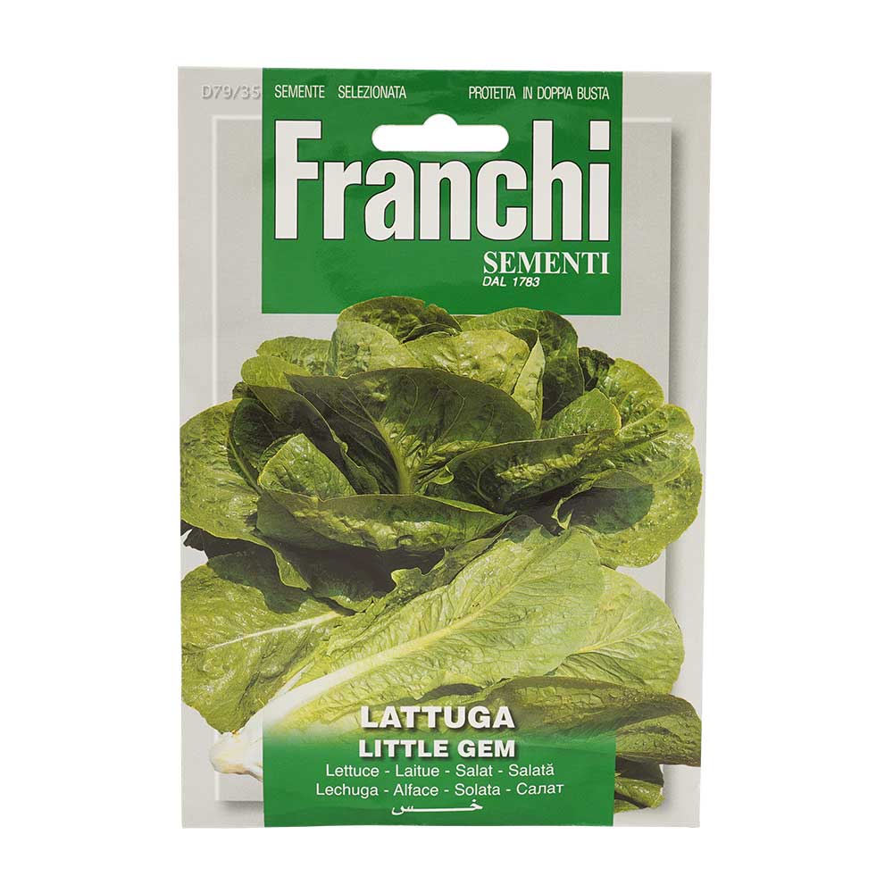 Franchi Seeds 1783 Lettuce Little Gem Seeds Sachet