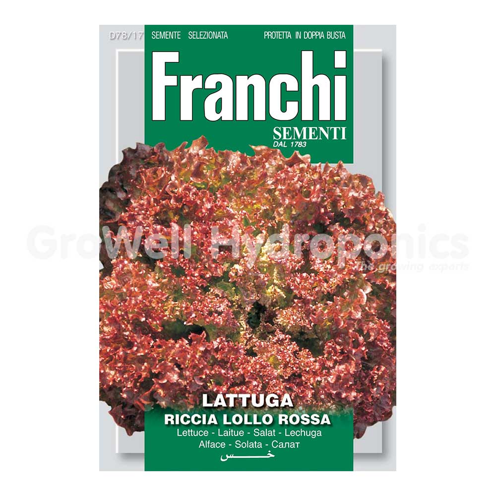 Franchi Seeds 1783 Lettuce Lollo Rossa Red Seeds