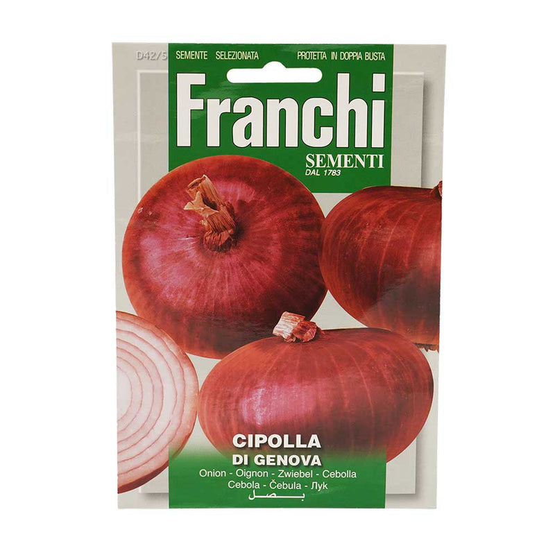 Red Onion Of Genova Seeds
