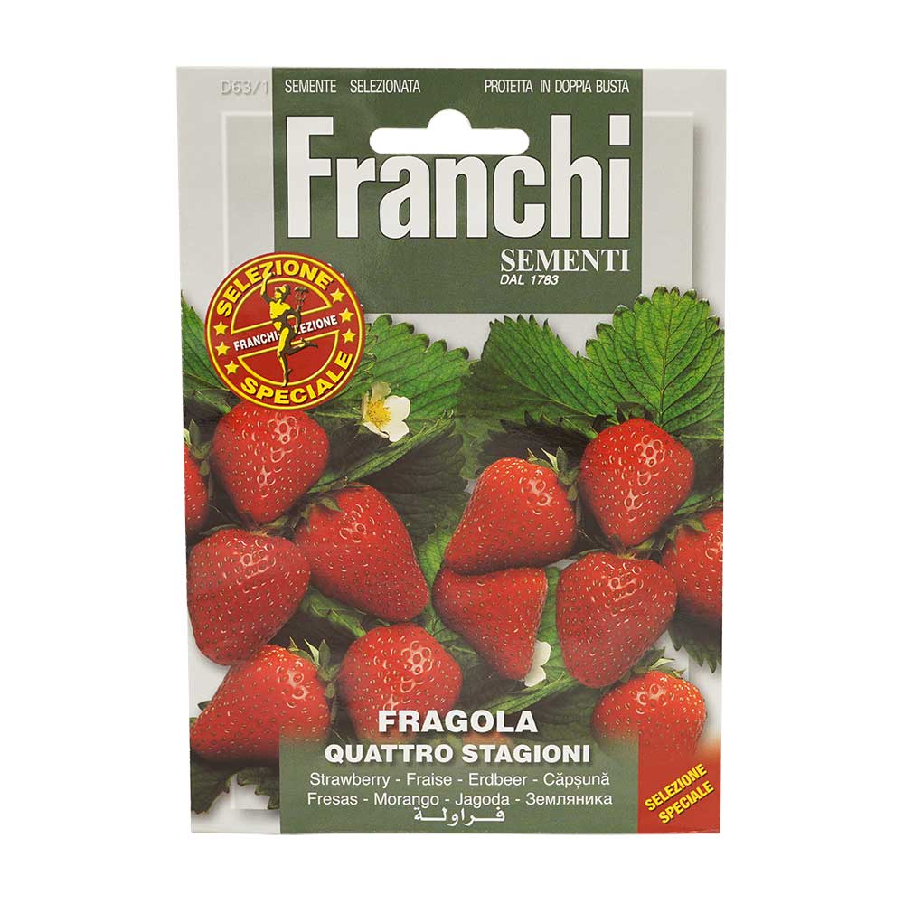 Franchi Seeds 1783 Strawberry Quattro Stagioni Seeds