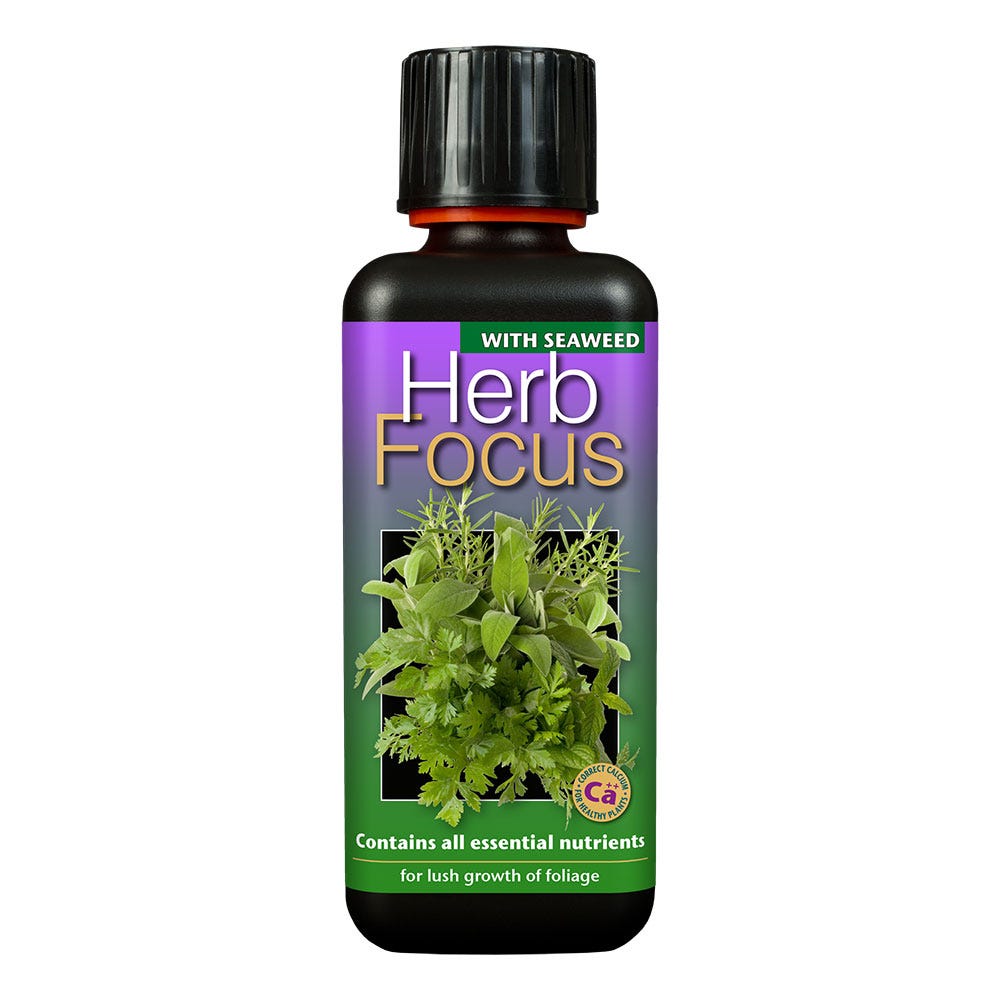 Herb Focus - 300ml