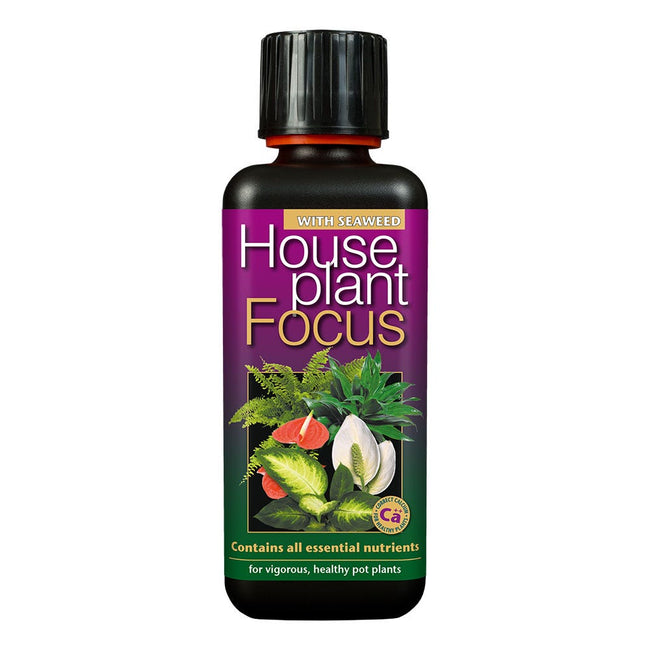 Houseplant Focus - 300ml