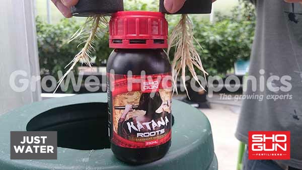 SHOGUN Katana Roots - 10 litre