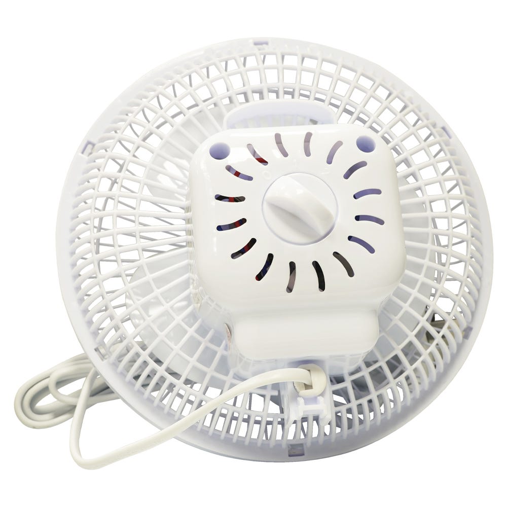 Monkey Fans Secret Jardin Monkey Fan | GroWell