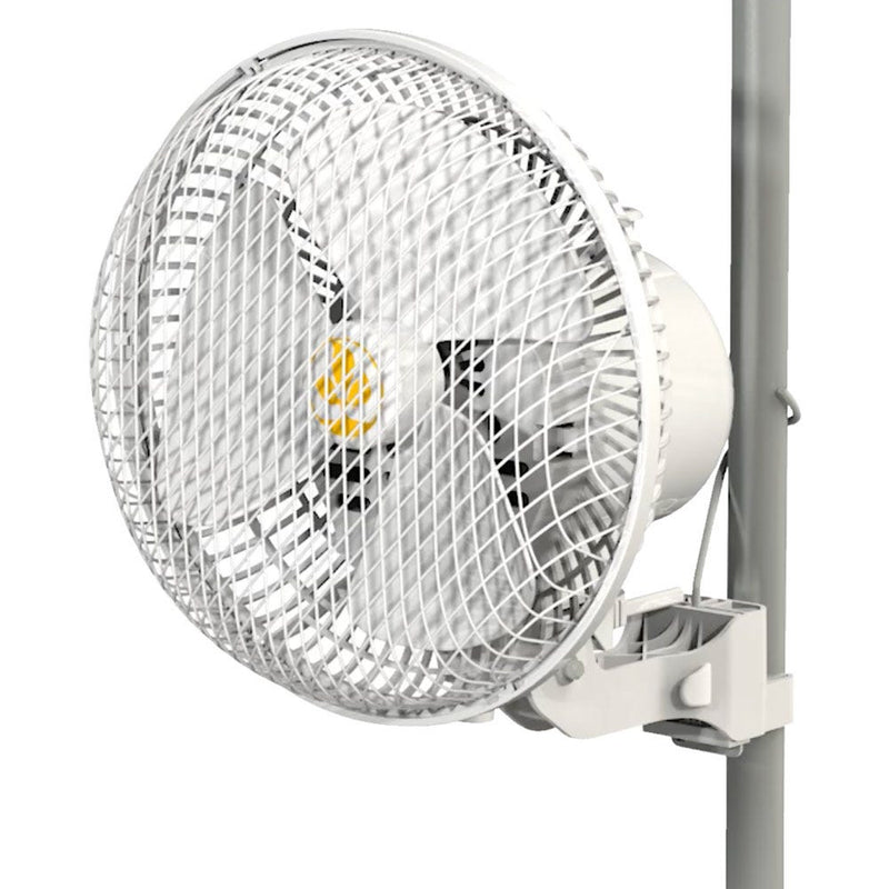 Monkey Fans Secret Jardin Monkey Fan | GroWell
