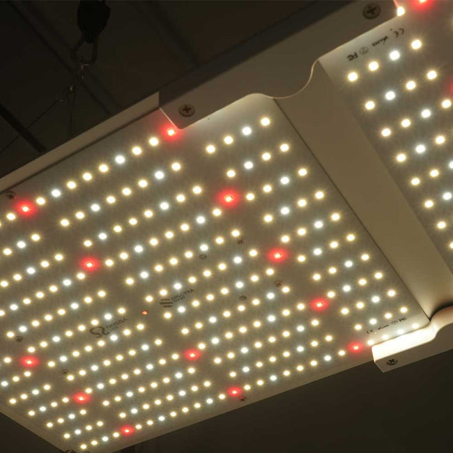 Omega Spectra G Line Quantum LED Grow Light – 220W