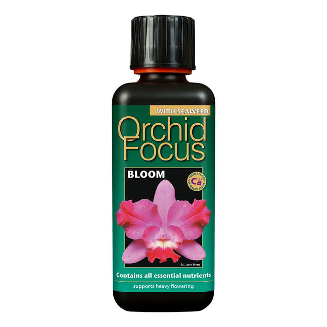 Orchid Focus Bloom - 300ml