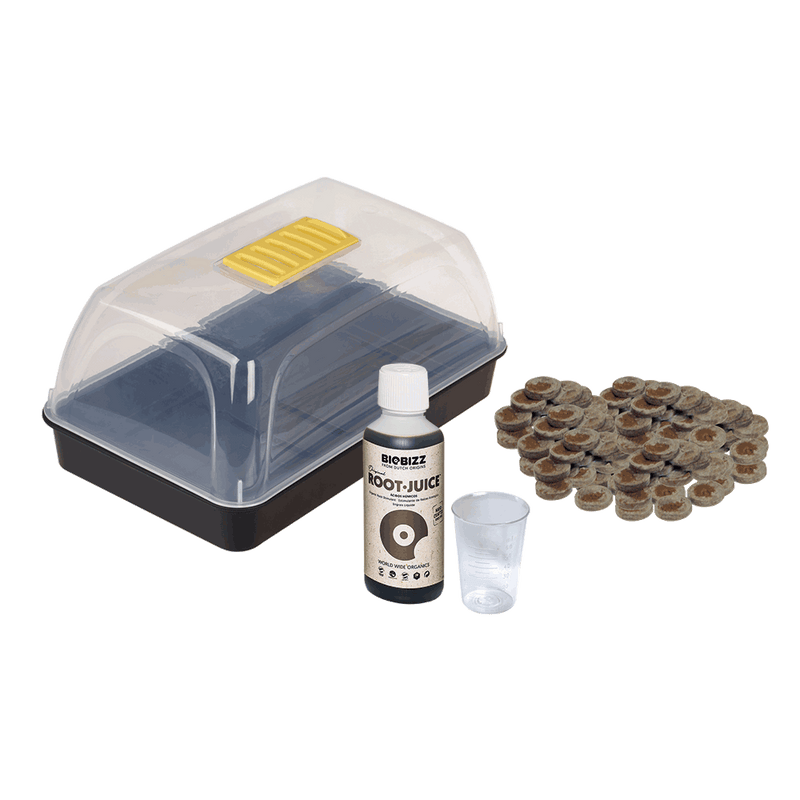 Organic Seed Starter Kit