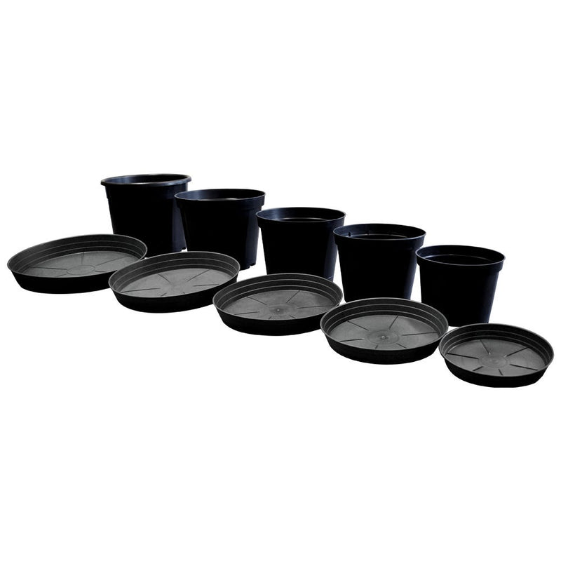 Round pots black saucers