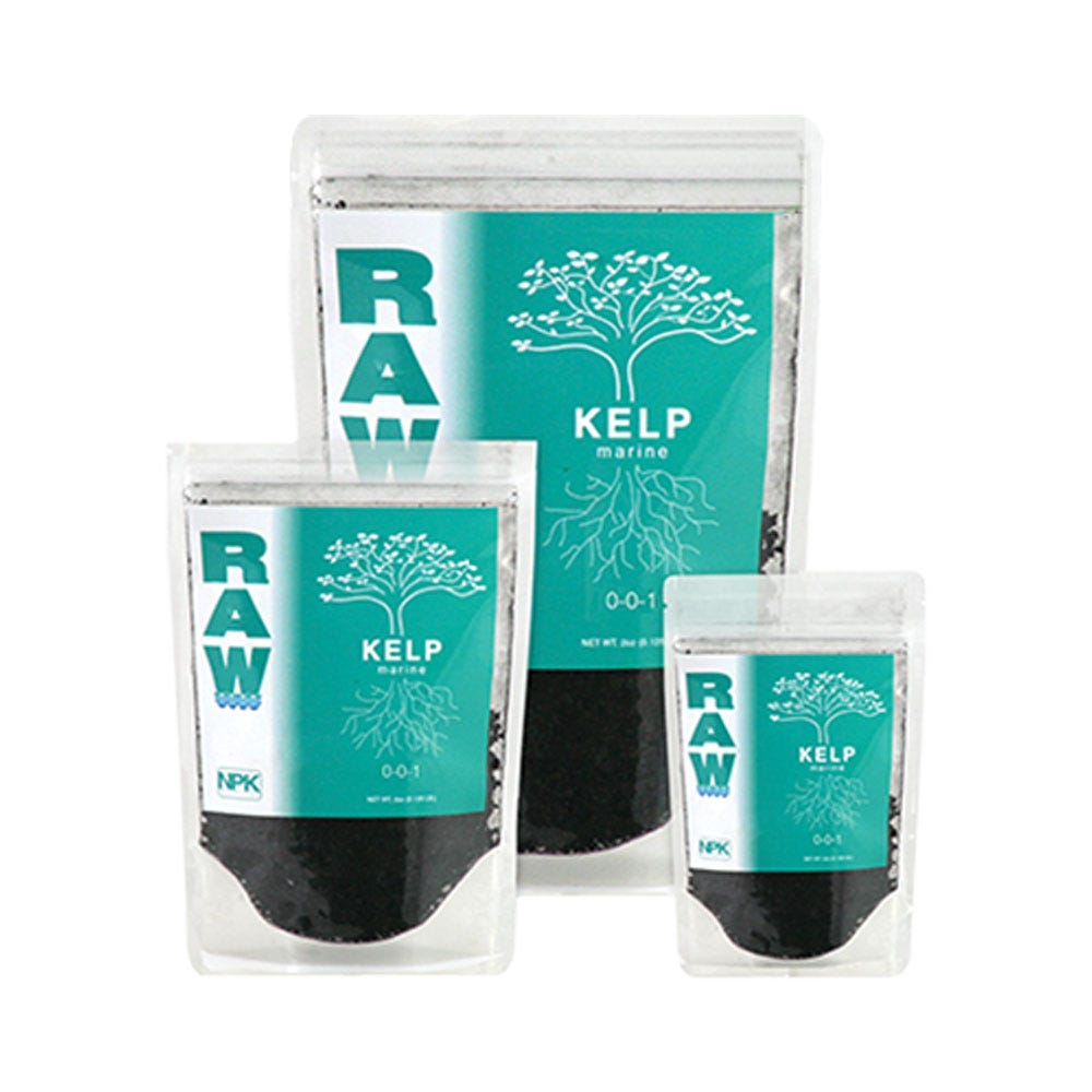 RAW Kelp